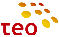 TEO Logo