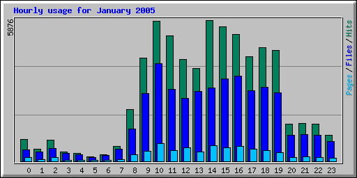 Hourly usage for January 2005