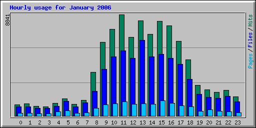 Hourly usage for January 2006