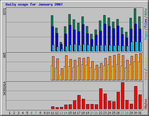 Daily usage for January 2007