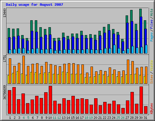 Daily usage for August 2007