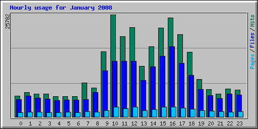 Hourly usage for January 2008